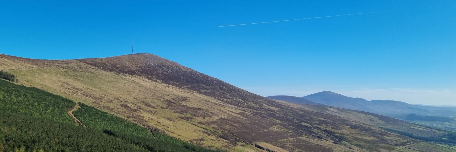 Anthony kelly banner