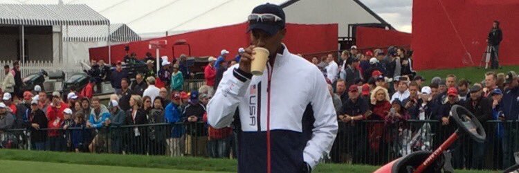 Megan Schuster banner