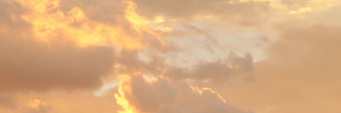 lisvvillalobos's profile banner image