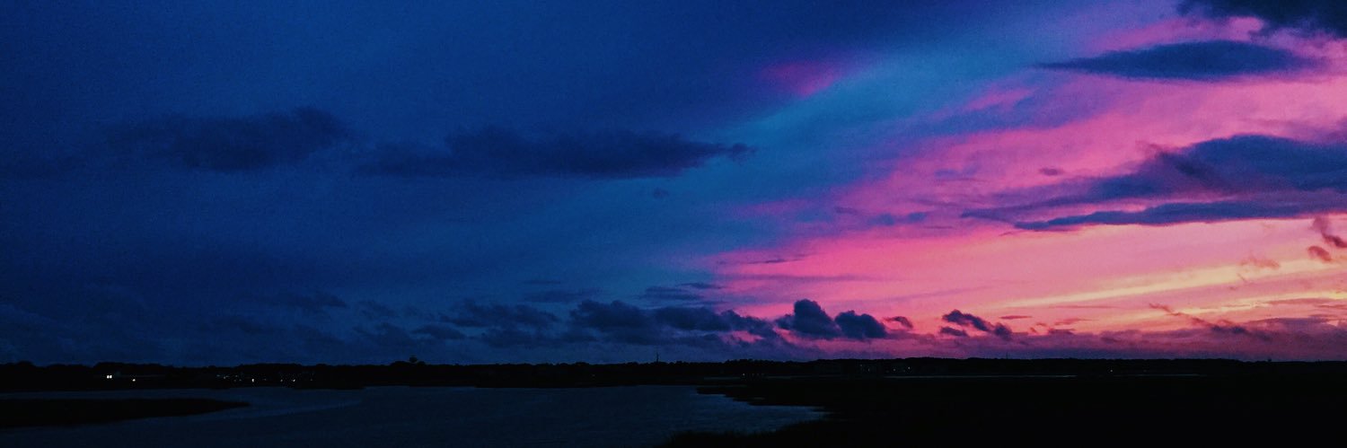 cat_hyman's profile banner image