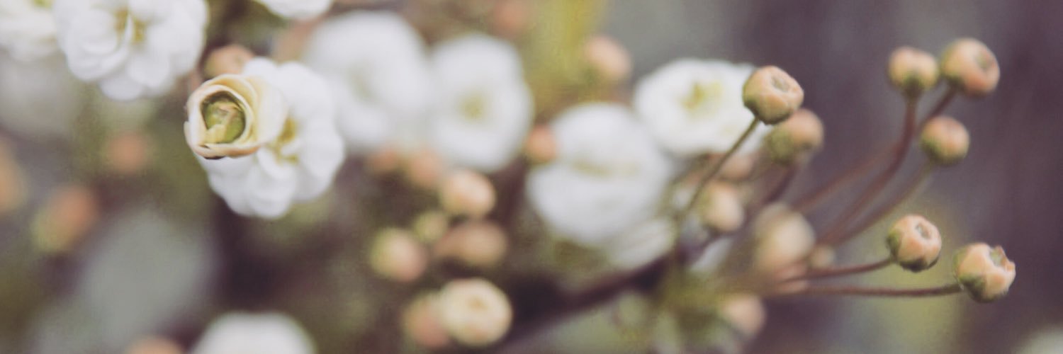 Michiko79065575's profile banner image