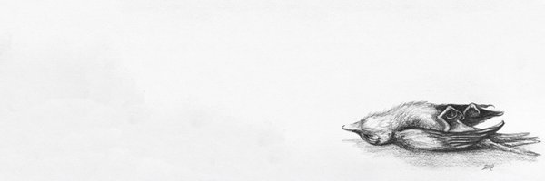 ellinghausen Profile Banner