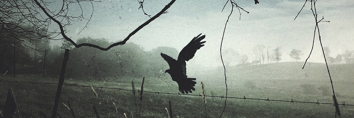 S0ul_Assassin's profile banner image