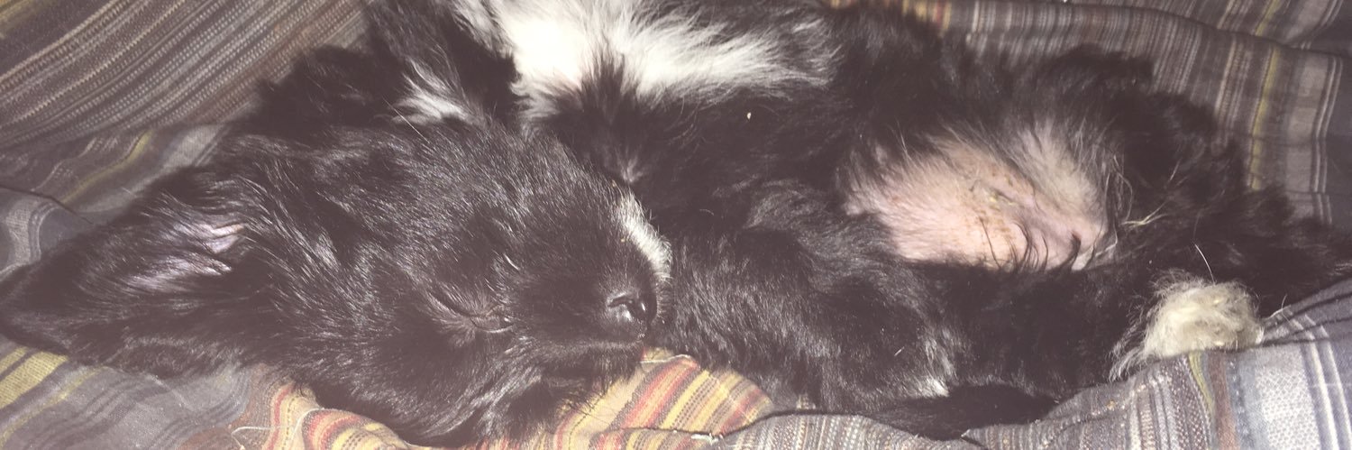 Deborah S Oliver banner