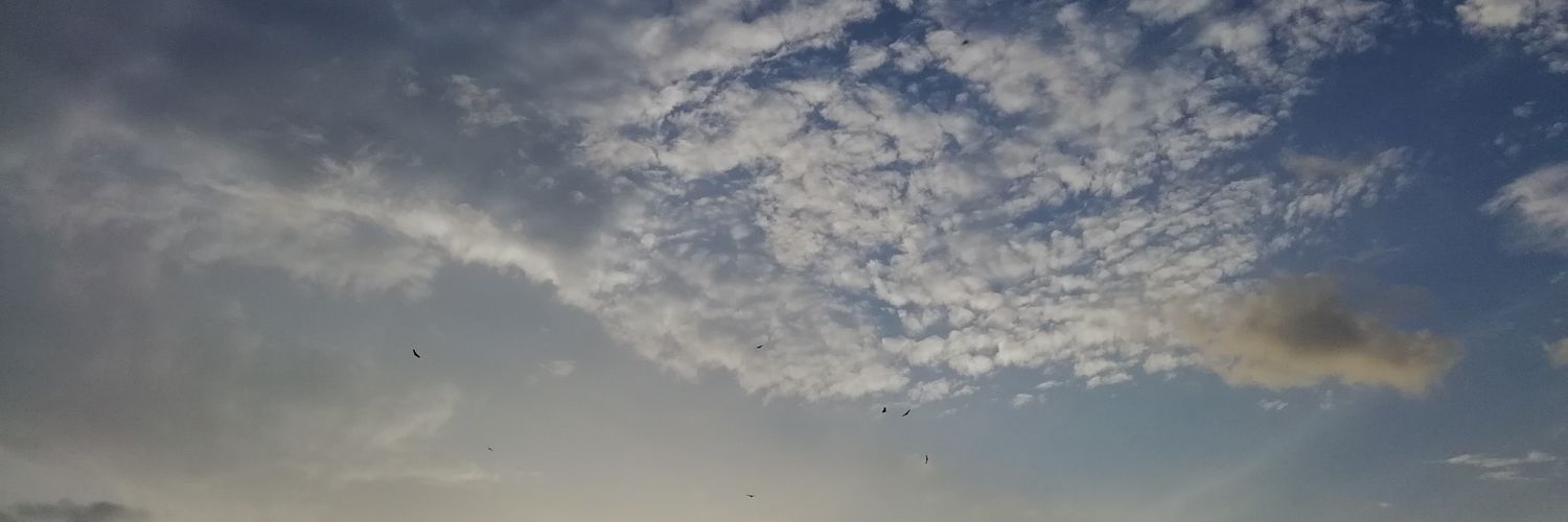 Anamapr's profile banner image