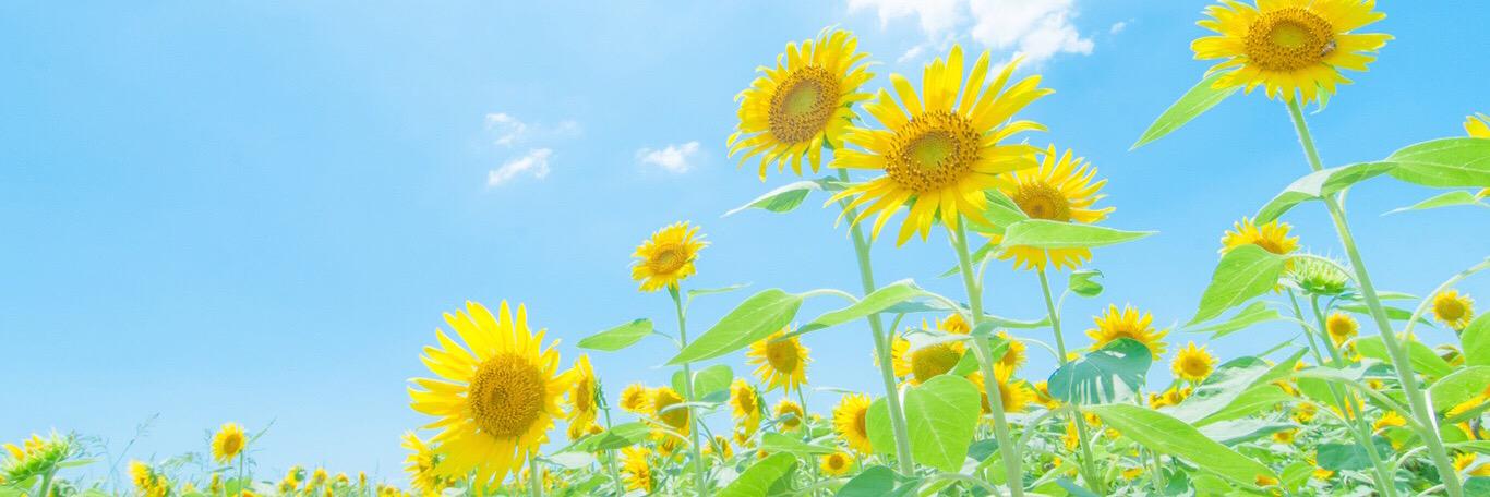 I9MYK's profile banner image