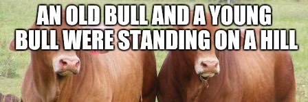 Paully B's banner