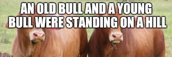 boringbuildr Profile Banner