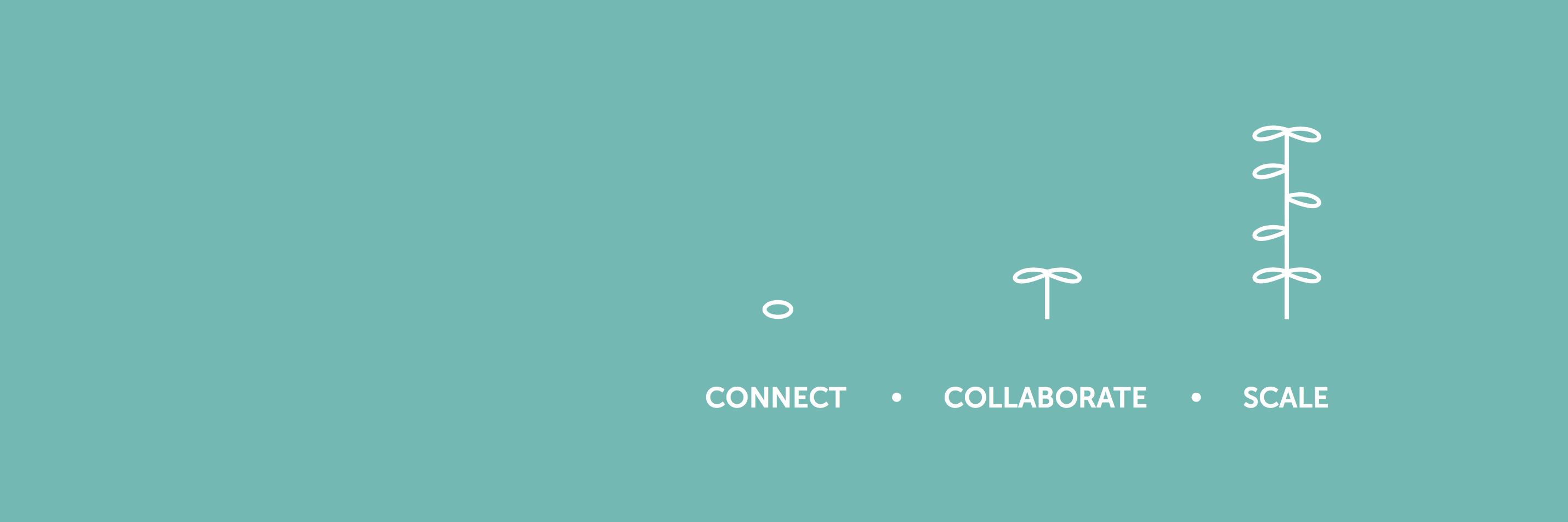 NestIdeas's profile banner image