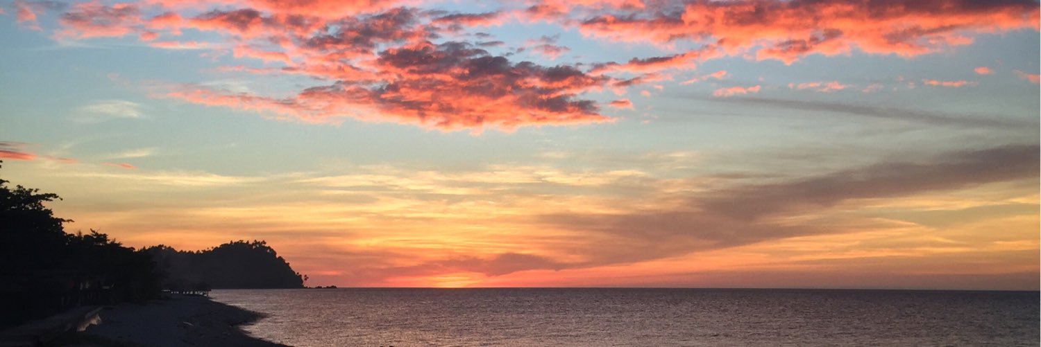tinniewanders's profile banner image