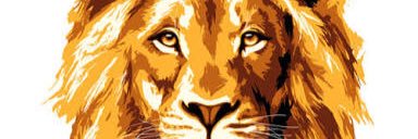 valeystophya's profile banner image