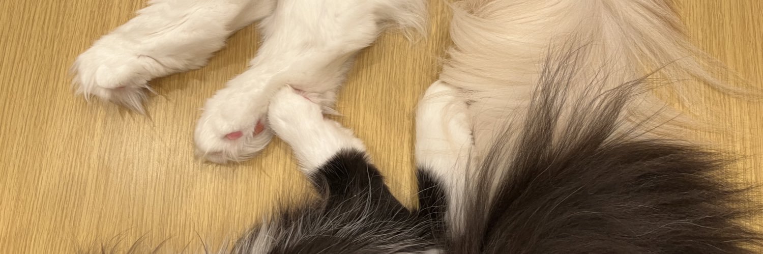 rinmil0_0's profile banner image
