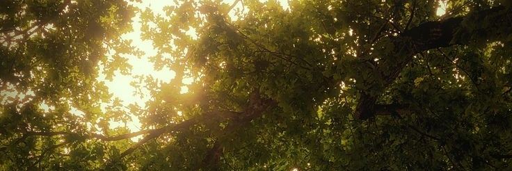 cerezitastem's profile banner image