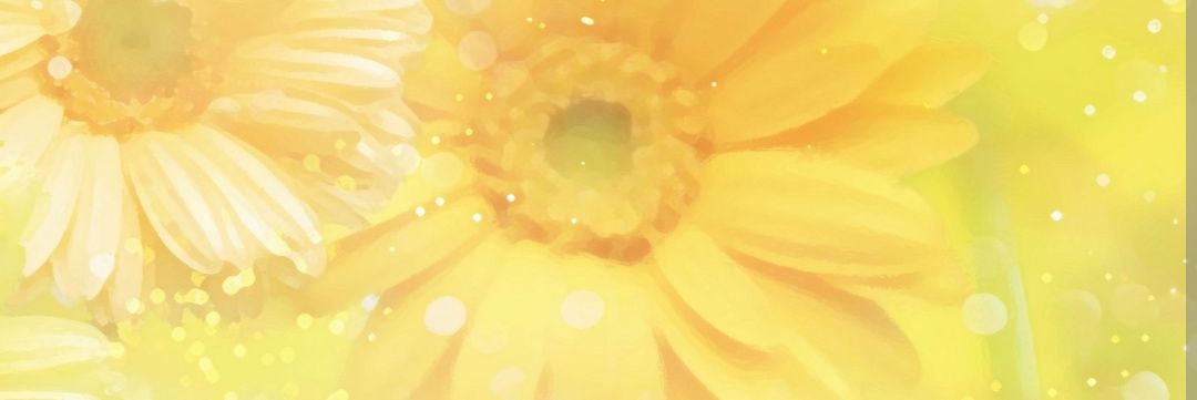 mokanekorie's profile banner image