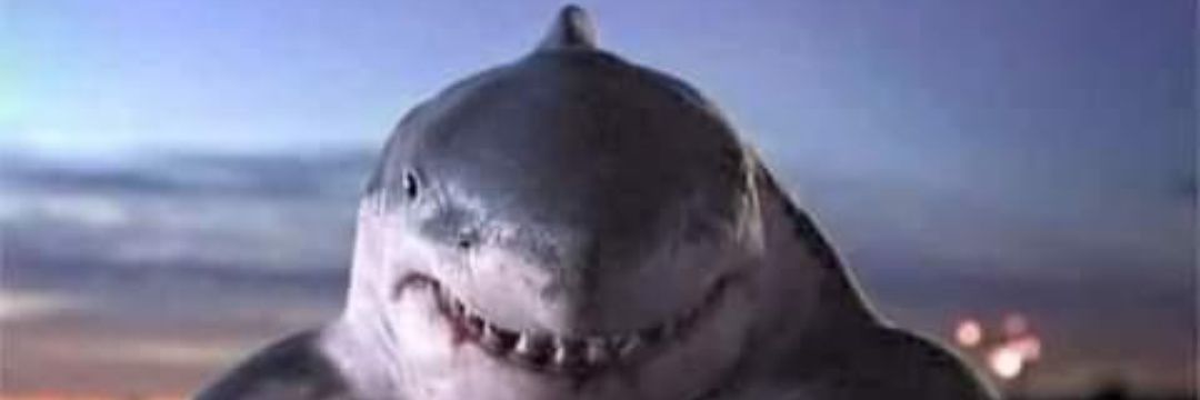 mullerzone023's profile banner image