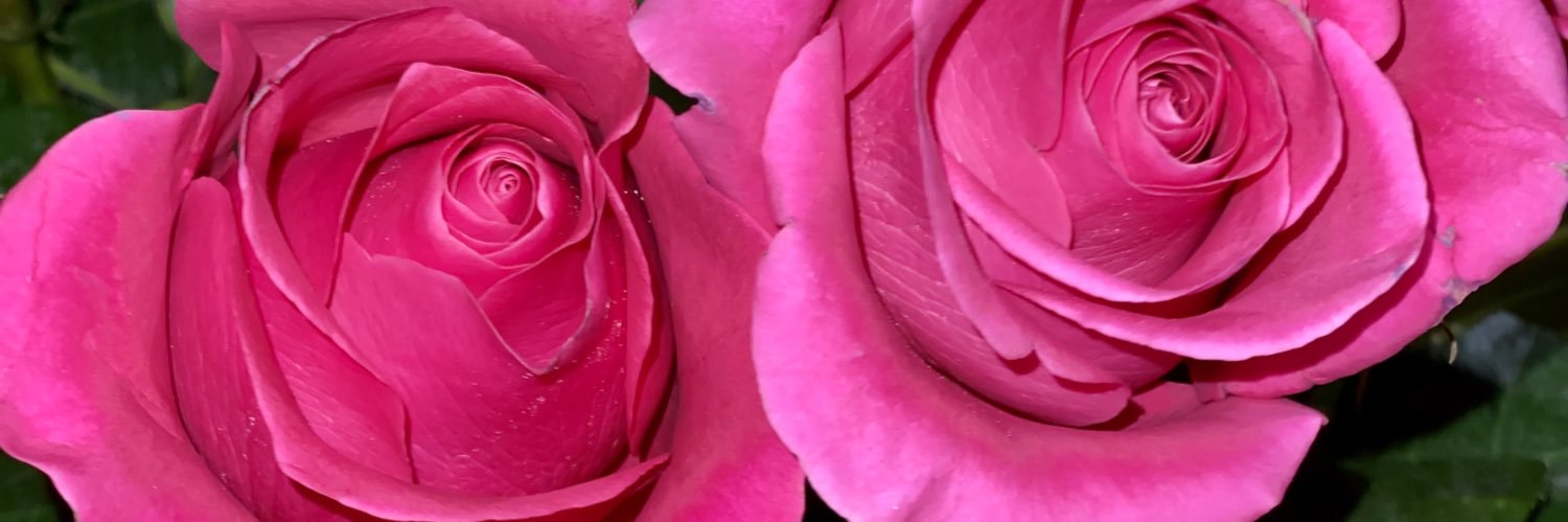 nelledoll_'s profile banner image