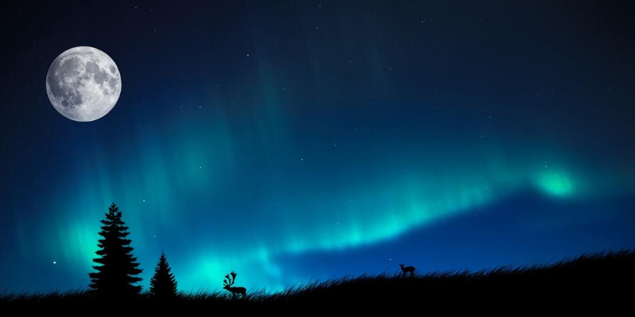 teuprince's profile banner image