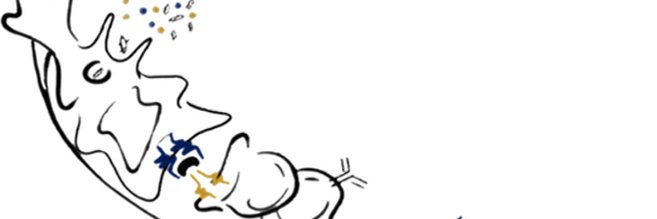 InmunoFacMed's profile banner image