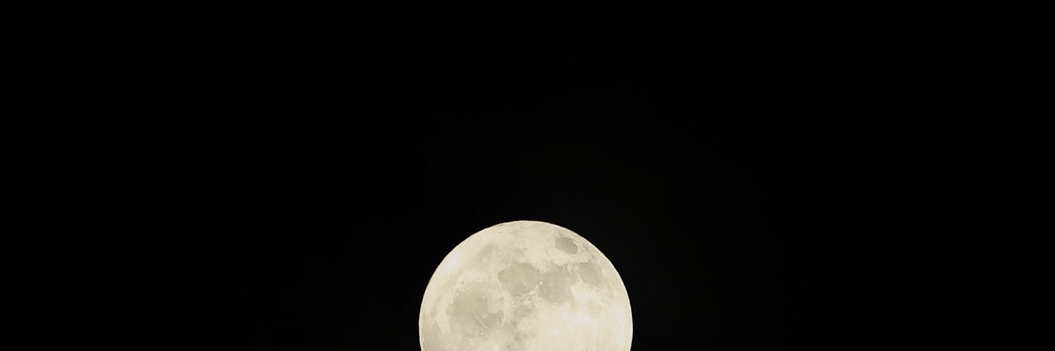 real_btm's profile banner image