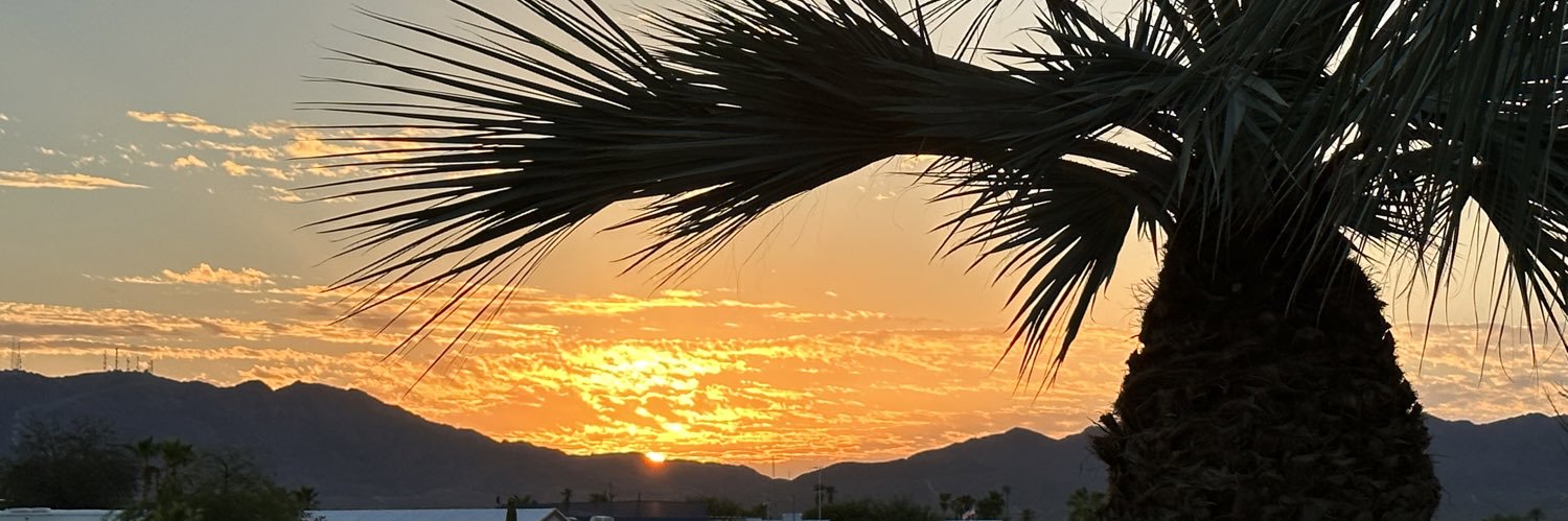 DMDavisDNP's profile banner image