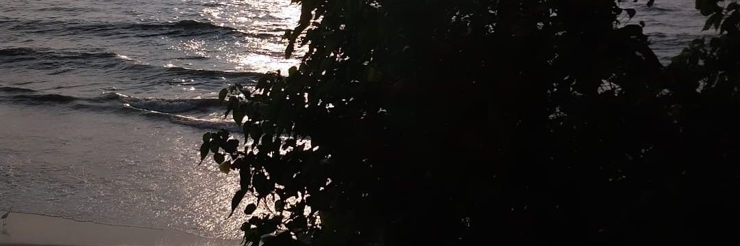 namratasingh04's profile banner image