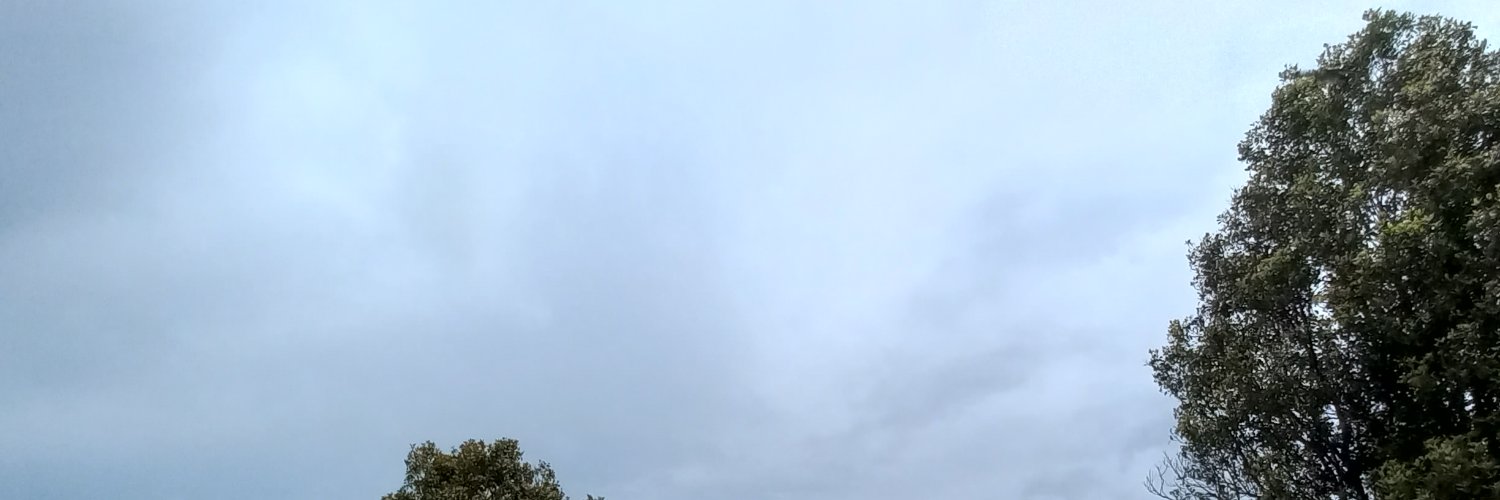 NurulKayrouf's profile banner image