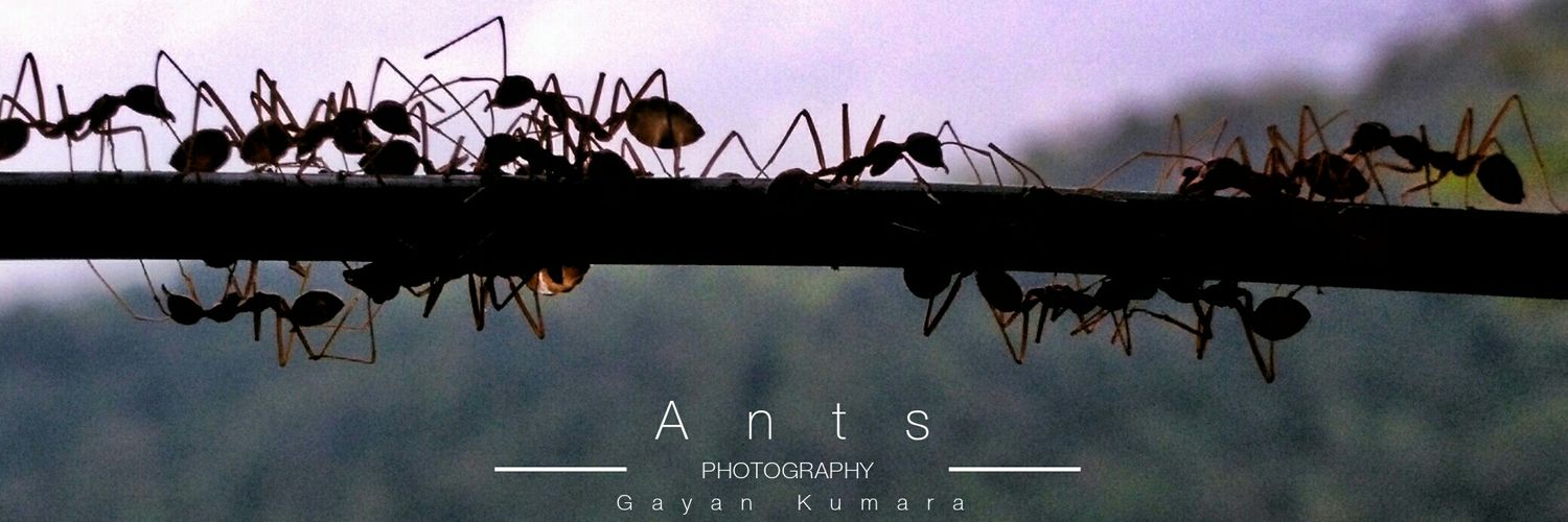 RealGayan's profile banner image
