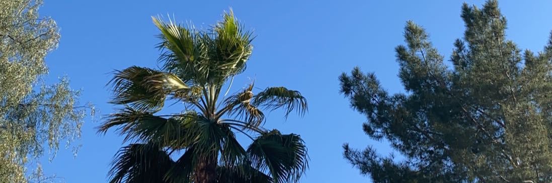HannahHunt199's profile banner image