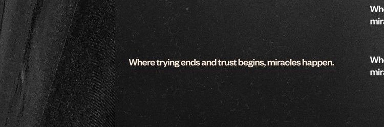 Cami banner