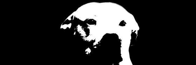 Seb_nem__'s profile banner image