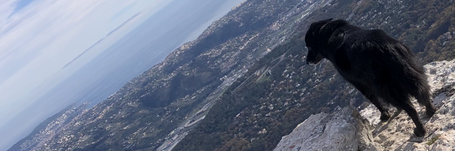 cvcrowd's profile banner image