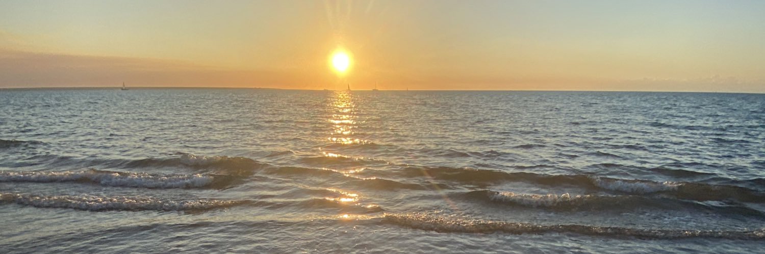 deniseadoyle's profile banner image