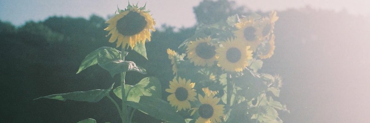 sooncin97's profile banner image