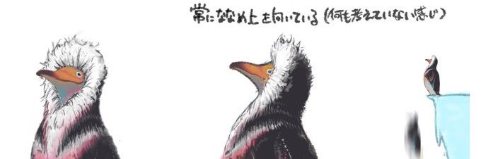 ignis_sv's profile banner image