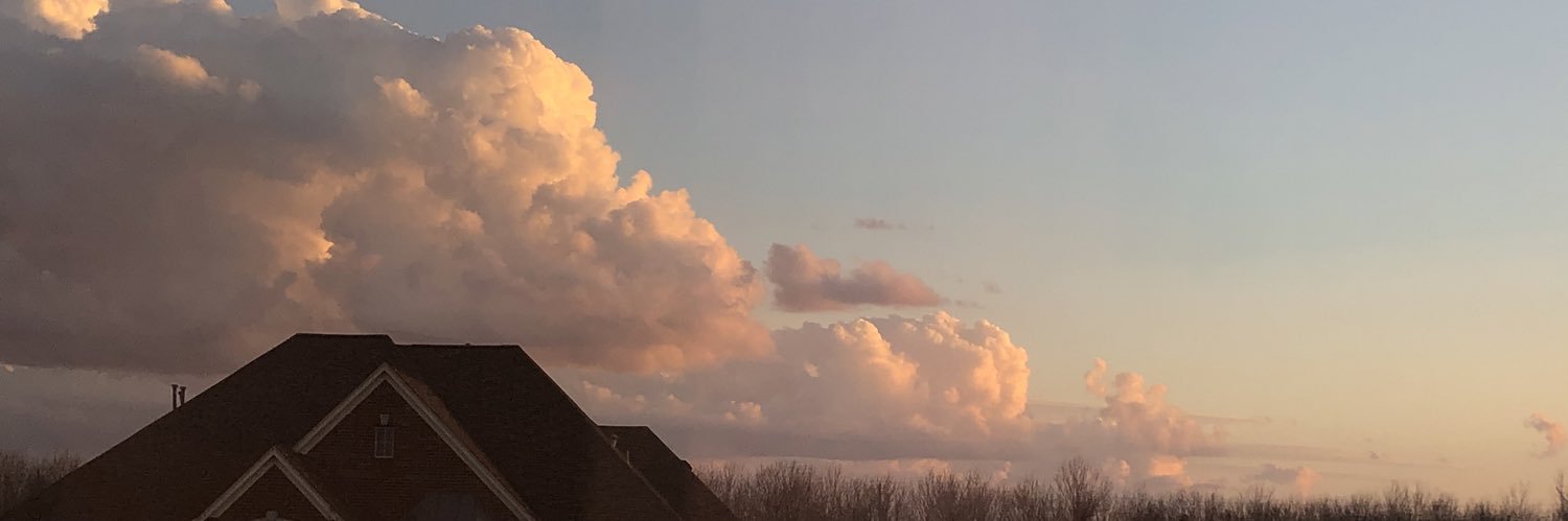 KayleePerkinson's profile banner image