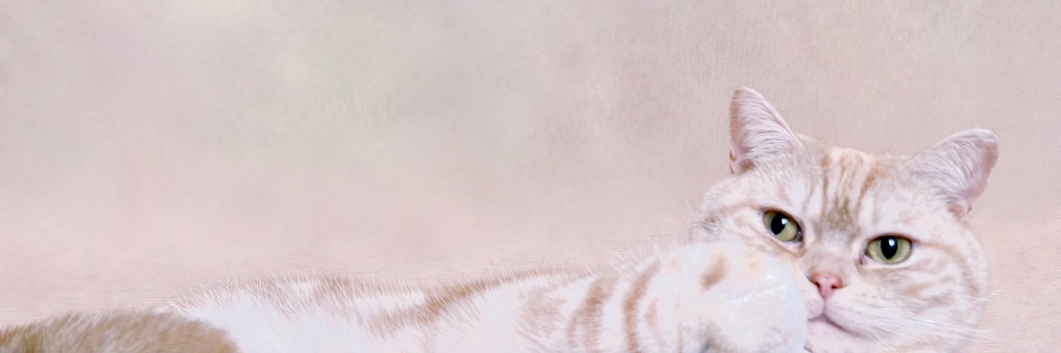 よぅ☾⋆（yoh☾⋆）'s banner
