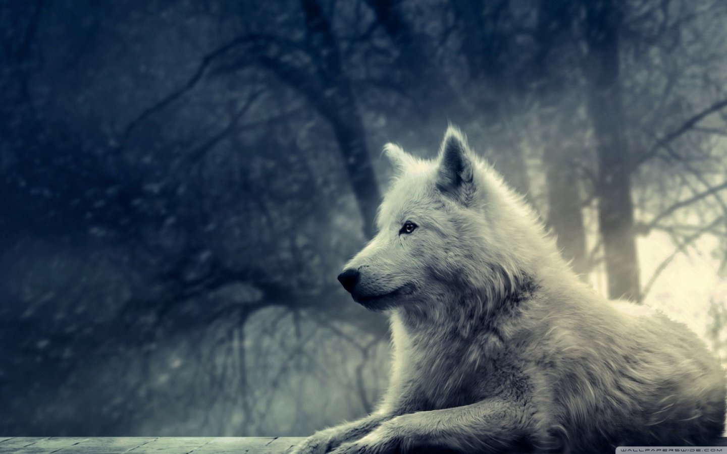 NicolasG019's profile banner image