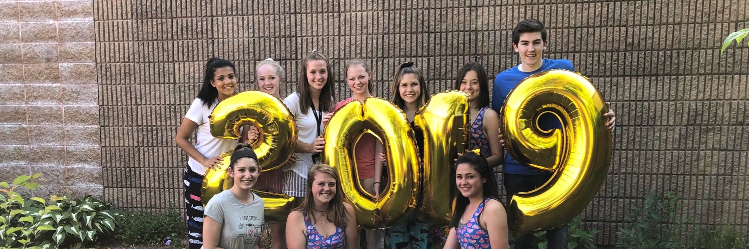lhs_2019's profile banner image