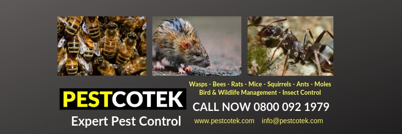 Pestcotek's profile banner image