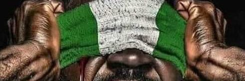 🦁 Chief Observer banner