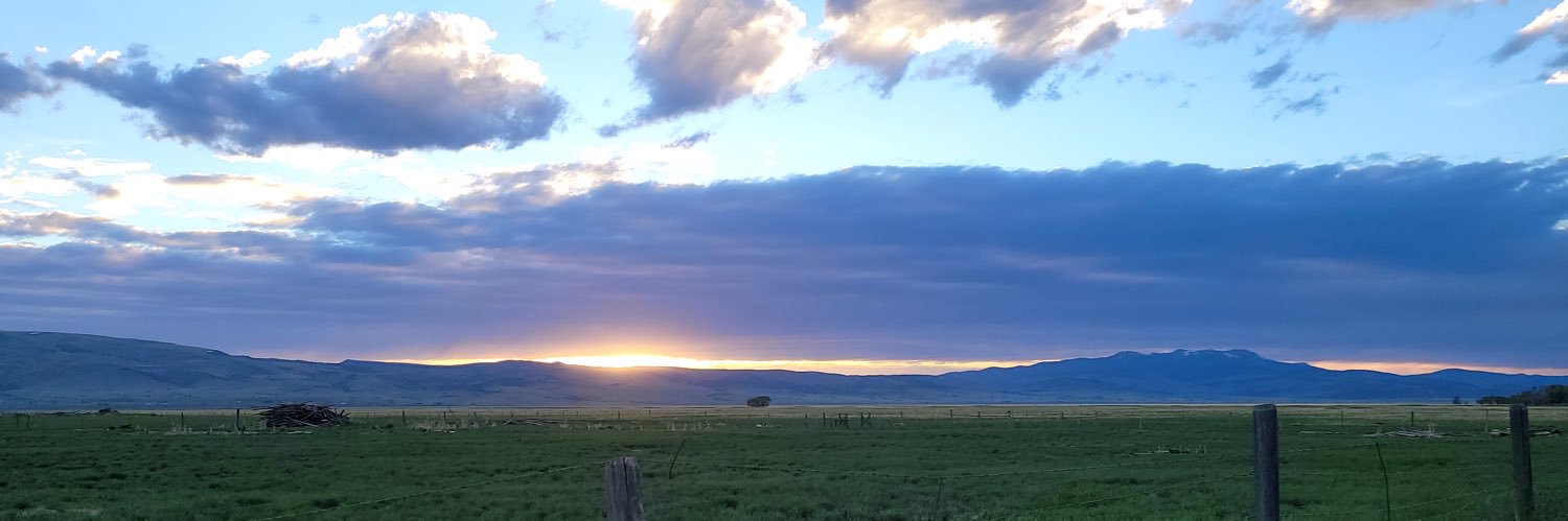 Rhodedog27's profile banner image