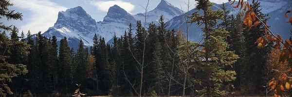 shelbyae Profile Banner