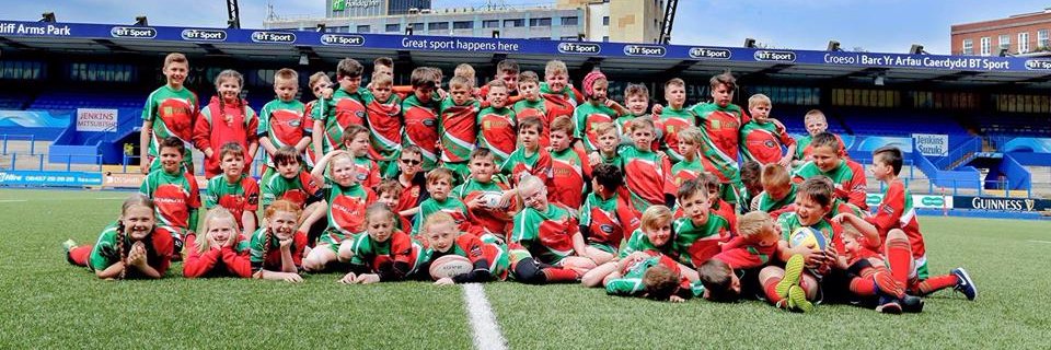 MiniNewtsRugby's profile banner image