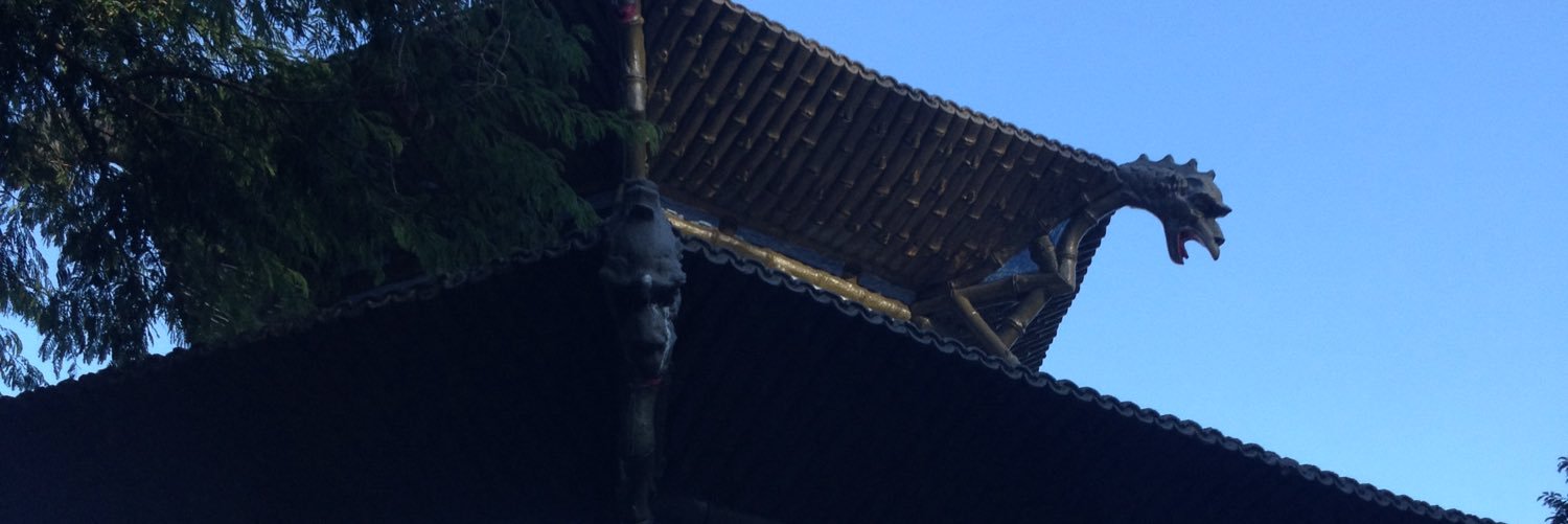 gusta_trindade's profile banner image