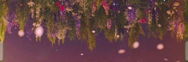 mousylynn's profile banner image
