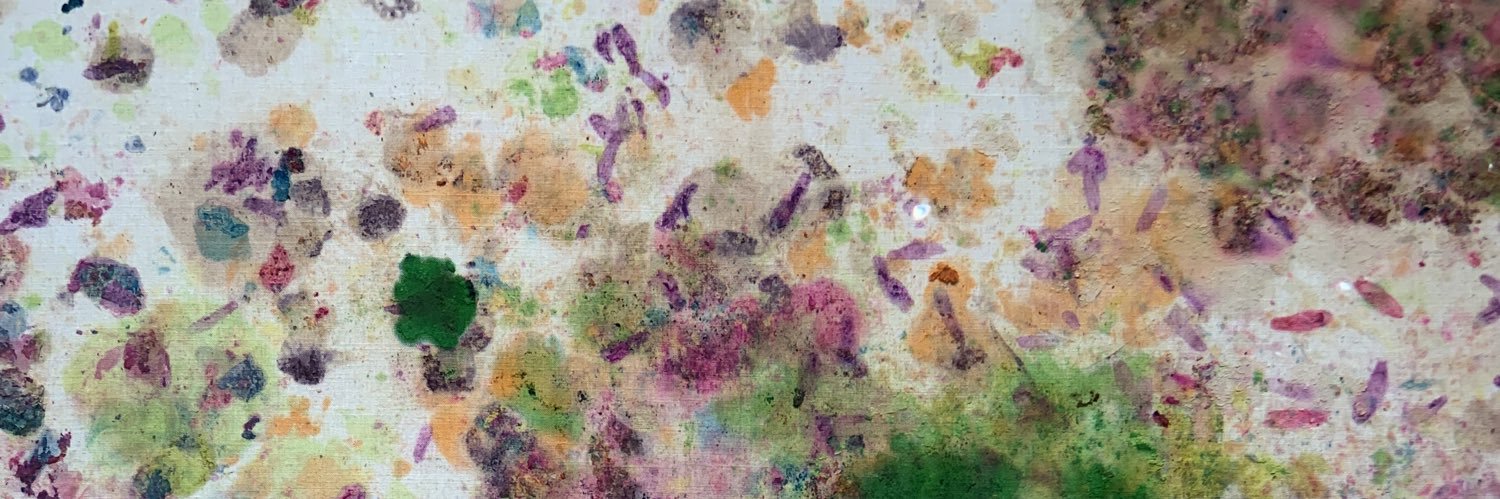 mangoconfresaa's profile banner image