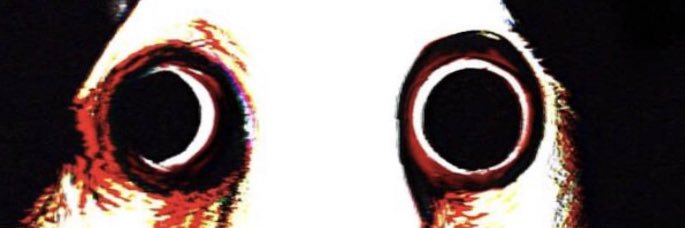 1657sucks's profile banner image