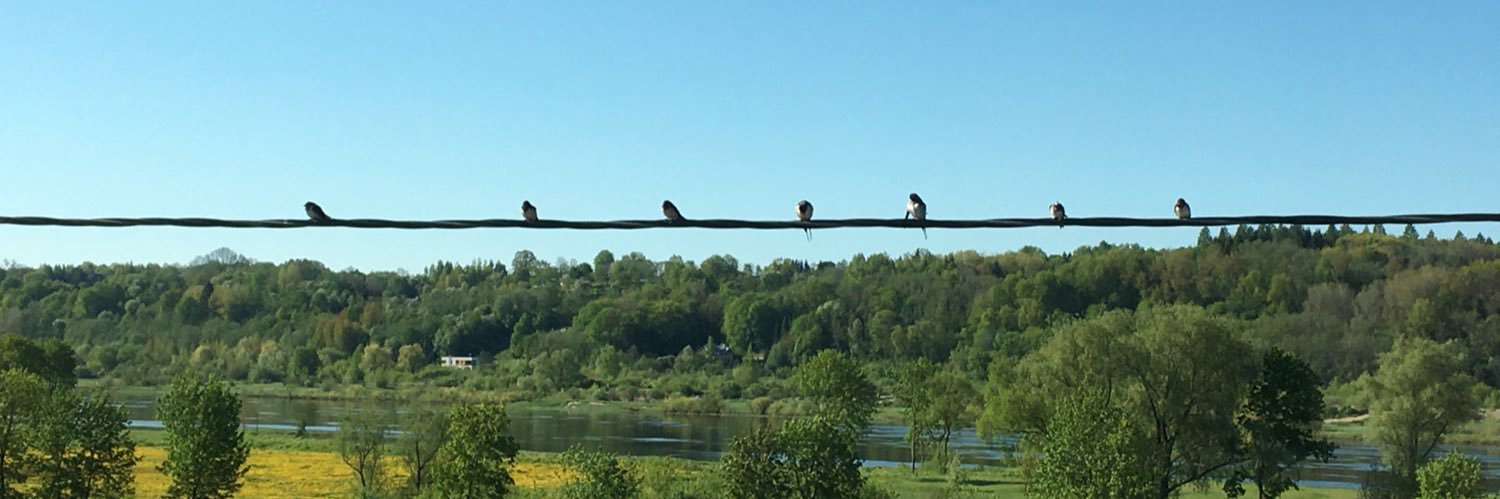 Emilija Pundziute banner