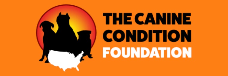 The Canine Condition Foundation banner