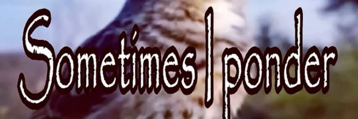 Max banner